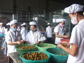 Hòa Bình: Xây dựng cơ chế mở trong thu hút đầu tư