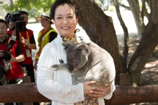Tổng thống Putin, bà Tập Cận Bình chụp ảnh lưu niệm cùng gấu Koala