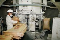 Thị trường xi măng "căng" nhờ chất lượng