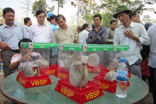 Em ruột của “cậu Thủy” làm giả hài cốt bị bắt