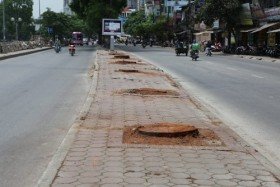 Lại chặt cây cổ thụ để phục vụ đường sắt trên cao