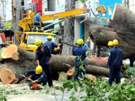 Thu hồi gần 46 tỷ đồng của 4 DN công ích