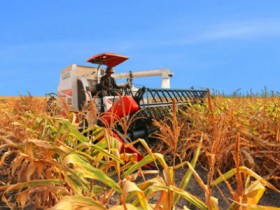 Cần ưu đãi cho DN đầu tư vào nông nghiệp, nông thôn