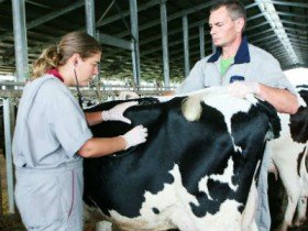 New Zealand muốn cùng Việt Nam tái cơ cấu ngành nông nghiệp