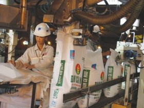 Đạm Cà Mau và động lực tăng trưởng mới