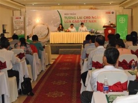 Ngành sản xuất lúa gạo loay hoay ở vạch xuất phát