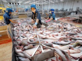 Seaprodex ế 1/4 số cổ phần chào bán