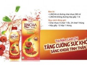 Tác dụng và cách dùng của một số loại trà linh chi