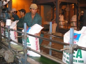 Hiệp hội Phân bón lo phân bón nhập khẩu bị làm khó