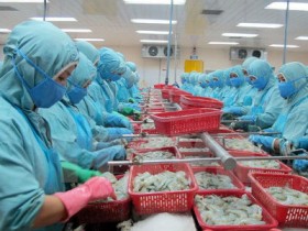 Cần Thơ xuất siêu 970 triệu USD trong năm 2014