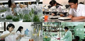 Chuyển đổi đơn vị sự nghiệp công lập thành công ty cổ phần