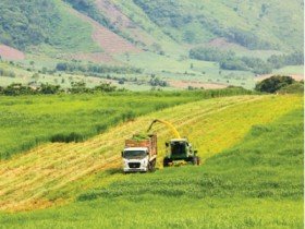 Nâng cao giá trị, hiệu quả sản xuất ngành nông nghiệp