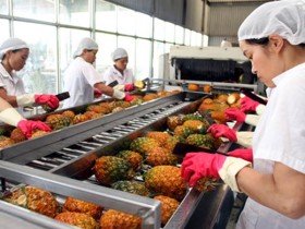 Xuất khẩu rau quả: Kỳ vọng chạm mốc 2 tỷ USD