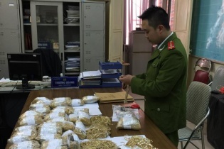 Bắt lô vàng lậu trị trá 1 triệu USD