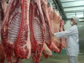 Tuột hợp đồng xuất khẩu 50.000 tấn thịt vào tay Thái Lan