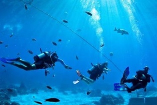 Cáp quang AAG sẽ vận hành trở lại vào ngày 24/1