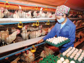 Chung sức xây dựng nông thôn mới