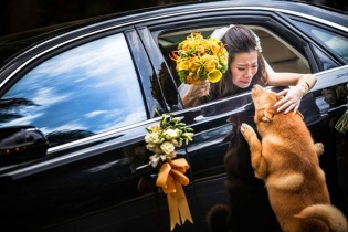 Những bức ảnh cưới độc và đẹp đoạt giải nhất năm 2014