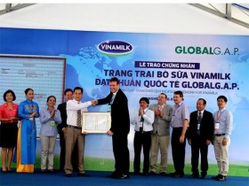 Vinamilk tăng thu mua sữa tươi nguyên liệu của nông dân