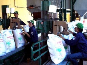 Tồn kho gần 339.000 tấn đường