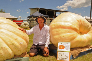 Bí ngô nặng 743 kg phá kỷ lục của Australia và New Zealand