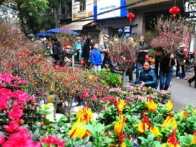 Hà Nội bố trí 49 Chợ Hoa Xuân