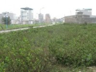 Đề nghị sớm đấu giá 31 ha đất thị trấn Trâu Quỳ