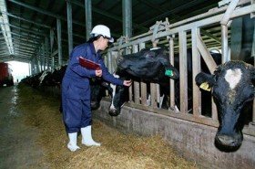 Bà Thái Hương nói về chuyện nông dân đổ sữa