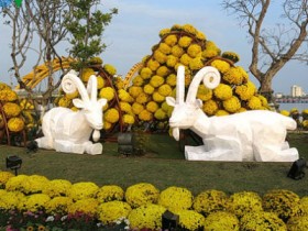Sông Hàn lung linh muôn sắc hoa