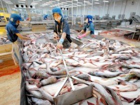 3 cổ phiếu cần quan tâm ngày 13/2