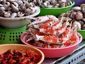 Thực phẩm bẩn tung hoành ngày Tết