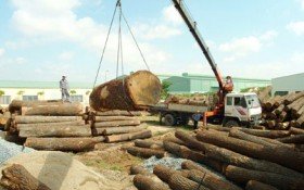 Năm 2015, xuất khẩu đồ gỗ có thể đạt 7 tỷ USD