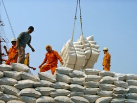 Chuẩn bị mua tạm trữ 1 triệu tấn gạo