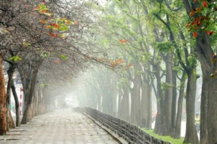 Đêm nay miền Bắc trở rét, mưa sẽ giảm