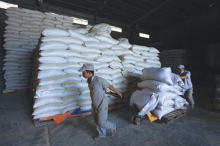 Nhức nhối thế độc quyền của thị trường sản xuất thức ăn chăn nuôi