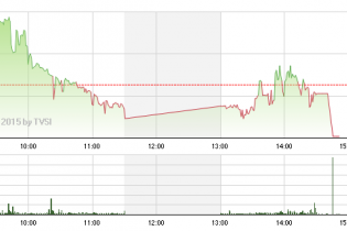 Phiên 13/3: Điểm sáng FLC