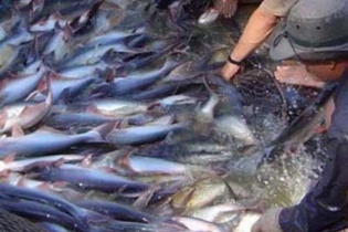 Cổ phiếu ATA vào diện cảnh báo