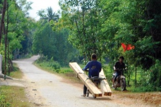 Bình Định: Lâm tặc “nhởn nhơ” phá rừng