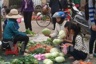 Hà Nội mưa liên tiếp đẩy giá rau xanh tăng cao