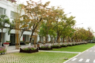 Khuyến khích tăng trưởng tín dụng xanh