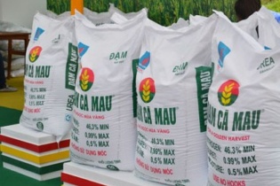 Cổ phiếu Đạm Cà Mau tăng mạnh phiên chào sàn