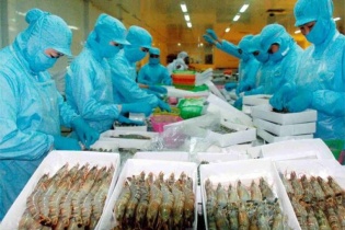 Ứng phó với sự “đỏng đảnh” của thời tiết, thị trường
