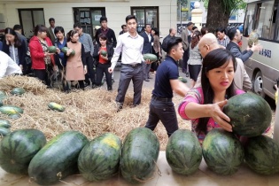 Bộ Công thương giúp bán dưa hấu cho bà con