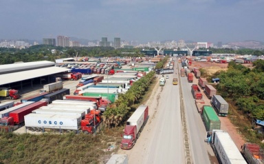 Chủ động khắc phục tình trạng nông sản 'được mùa mất giá', nâng cao thu nhập cho người nông dân