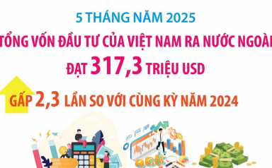 Đầu tư của Việt Nam ra nước ngoài gấp 2,3 lần so với cùng kỳ năm trước