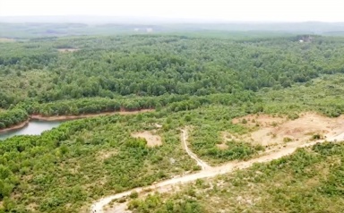 Dự án nông nghiệp công nghệ cao tại Quảng Trị nhiều lần “thất hứa”