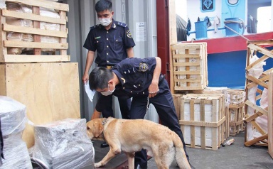 Kiểm soát chặt xuất nhập khẩu tiền chất, chặn sản xuất, buôn bán ma túy