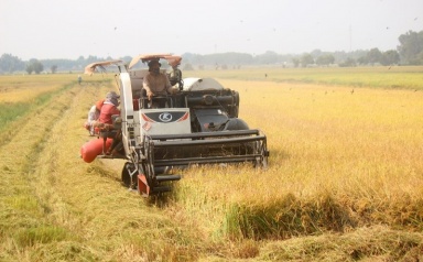 Kinh tế tuần hoàn nông nghiệp cần một chiến lược riêng