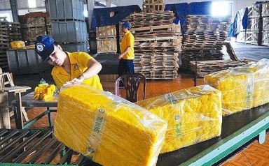 Chưa đầy 5 tháng, cao su xuất khẩu thu gần 1 tỷ USD 