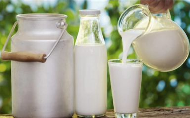 Từ 16/9/2025, xuất khẩu sữa sang Trung Quốc lưu ý quy định mới